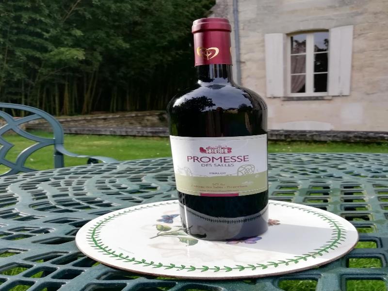 Chateau des Salles image