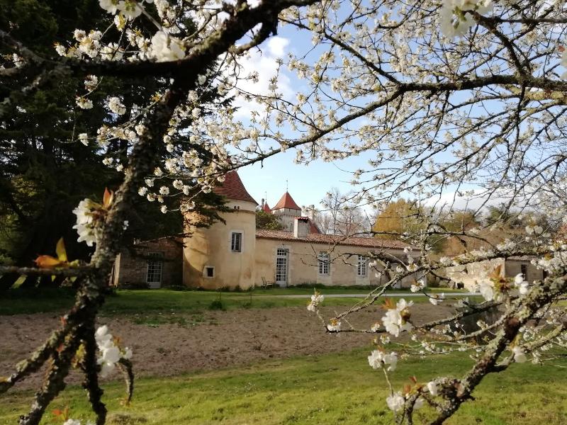 Chateau des Salles image