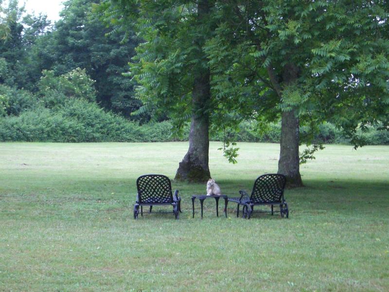Chateau des Salles image