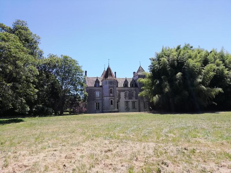 Chateau des Salles image