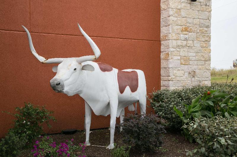 Best Western Plus Williston Hotel & Suites image