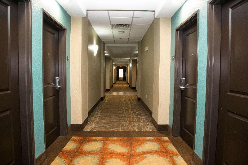 Best Western Plus Williston Hotel & Suites image