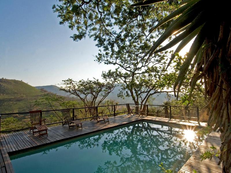 Three Trees at Spioenkop