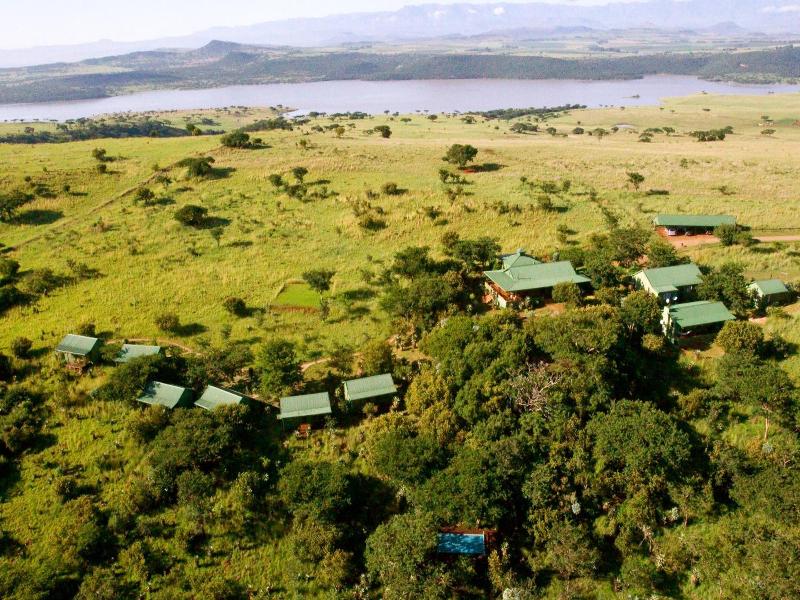 Three Trees at Spioenkop