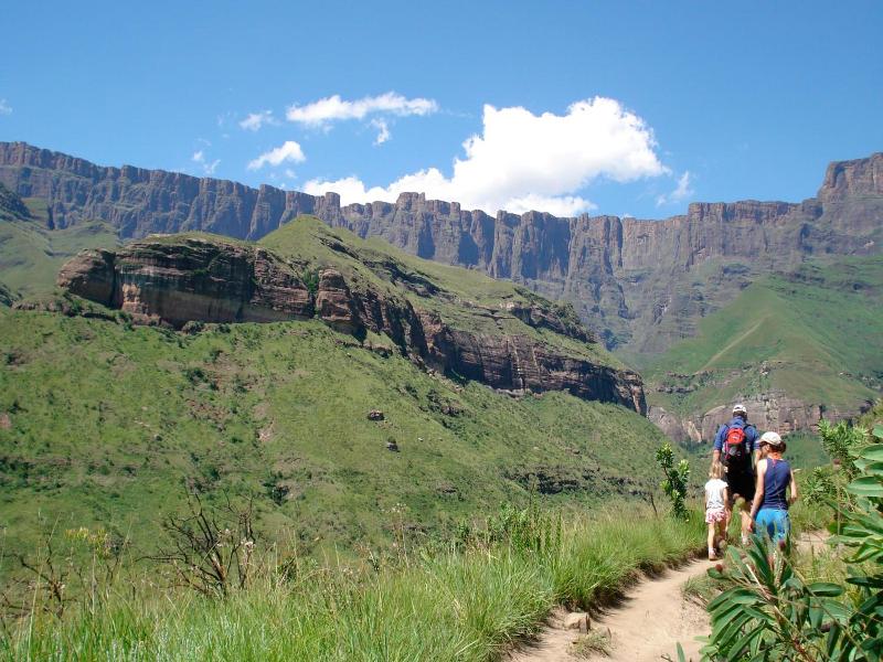 Three Trees at Spioenkop — general view