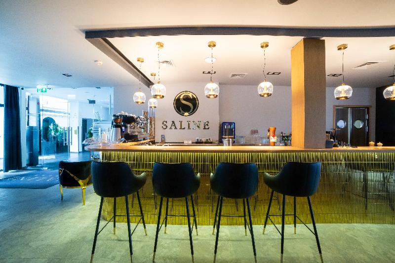 Hotel Saline image
