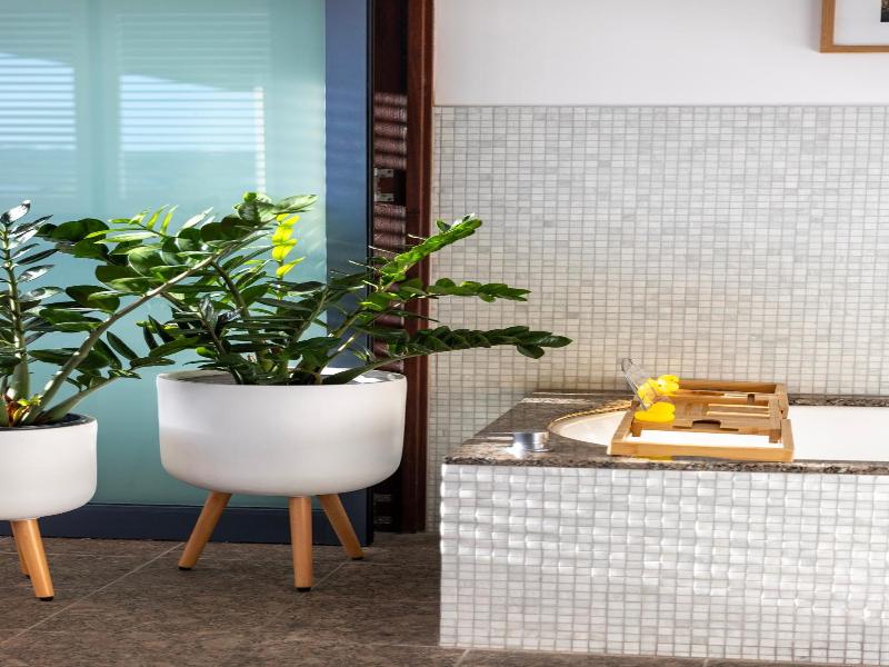 Beach Suites image