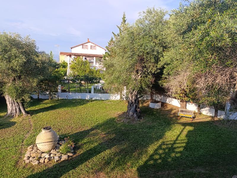 Evergreen Kavos image