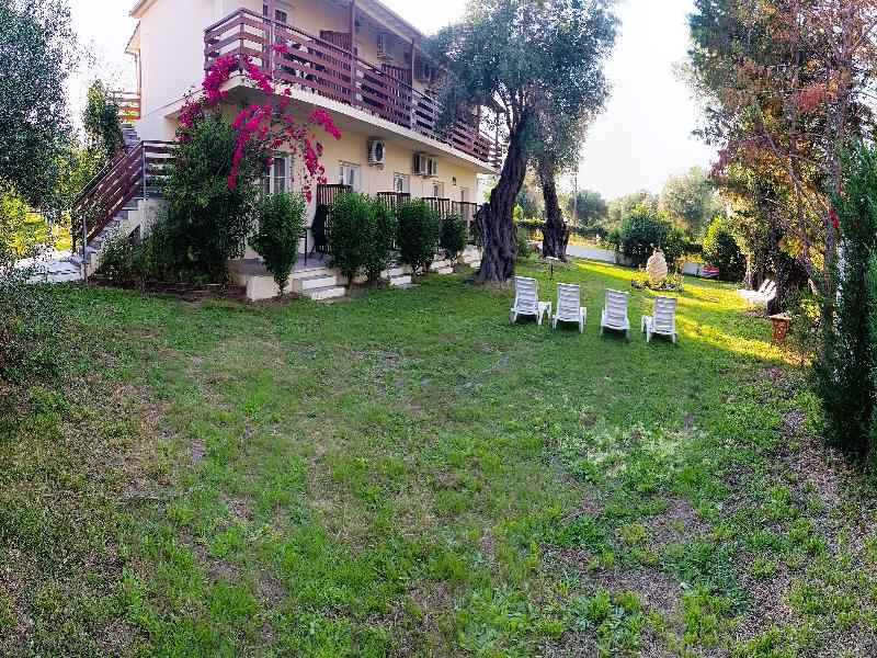 Evergreen Kavos image