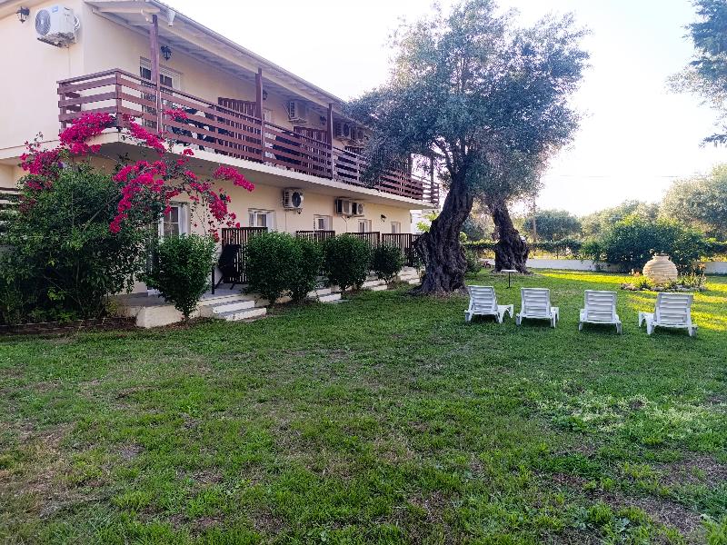 Evergreen Kavos image