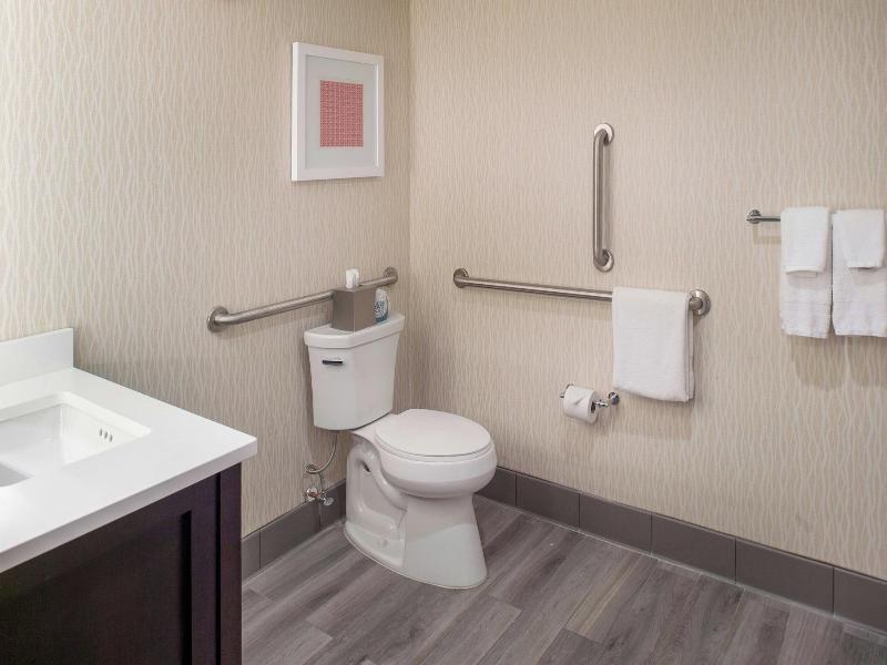 Marriott St. Louis Airport image
