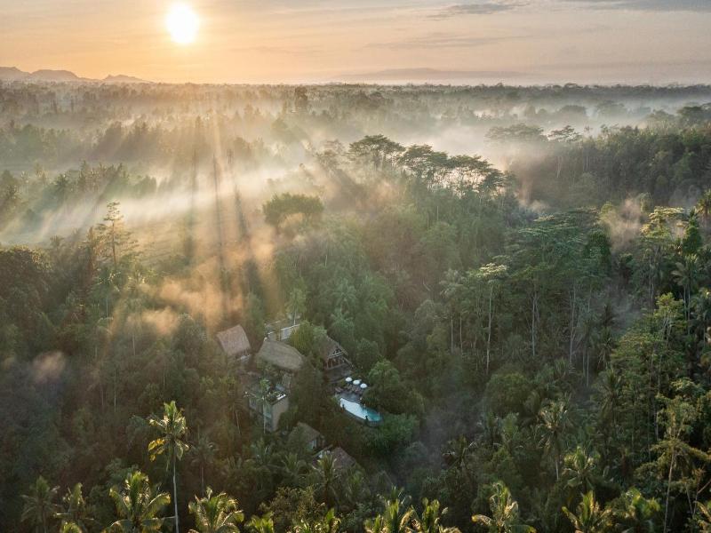 The Kayon Resort Ubud image
