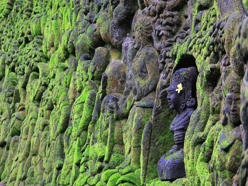 The Kayon Resort Ubud image