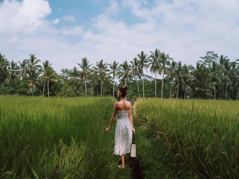 The Kayon Resort Ubud image