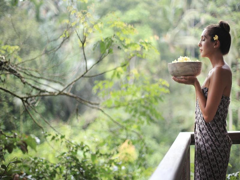 The Kayon Resort Ubud image