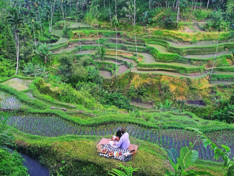 The Kayon Resort Ubud image