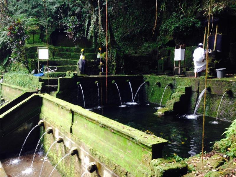 The Kayon Resort Ubud image