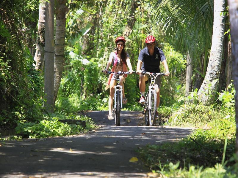 The Kayon Resort Ubud image