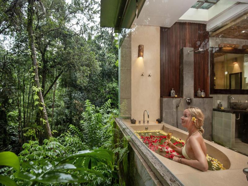 The Kayon Resort Ubud image