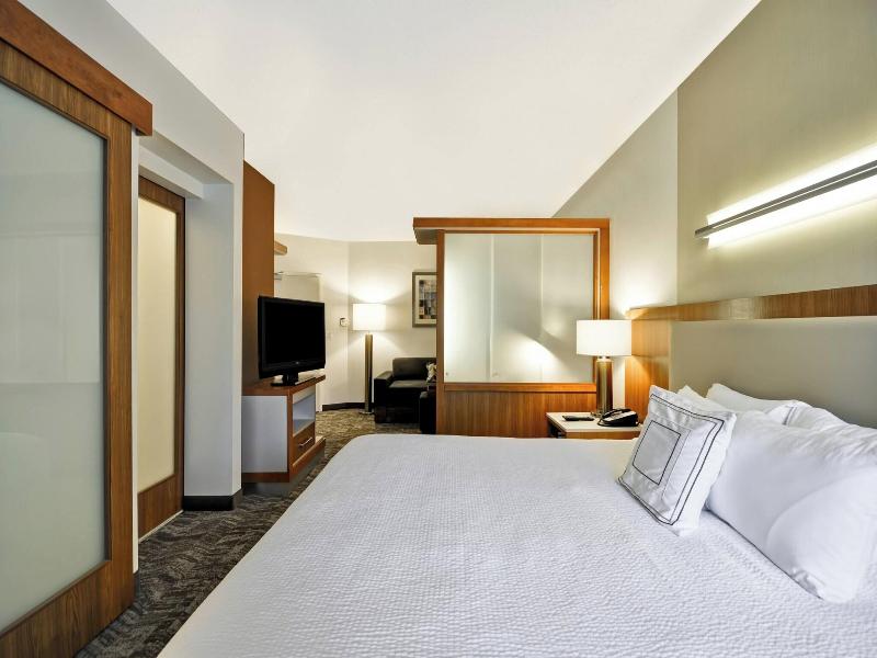 SpringHill Suites Tallahassee Central image