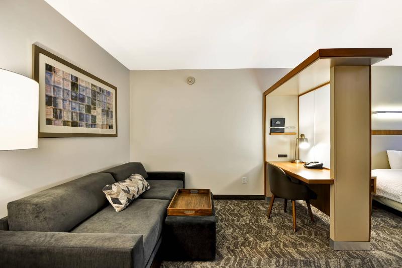 SpringHill Suites Tallahassee Central image