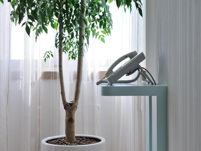 Green World Zhonghua image