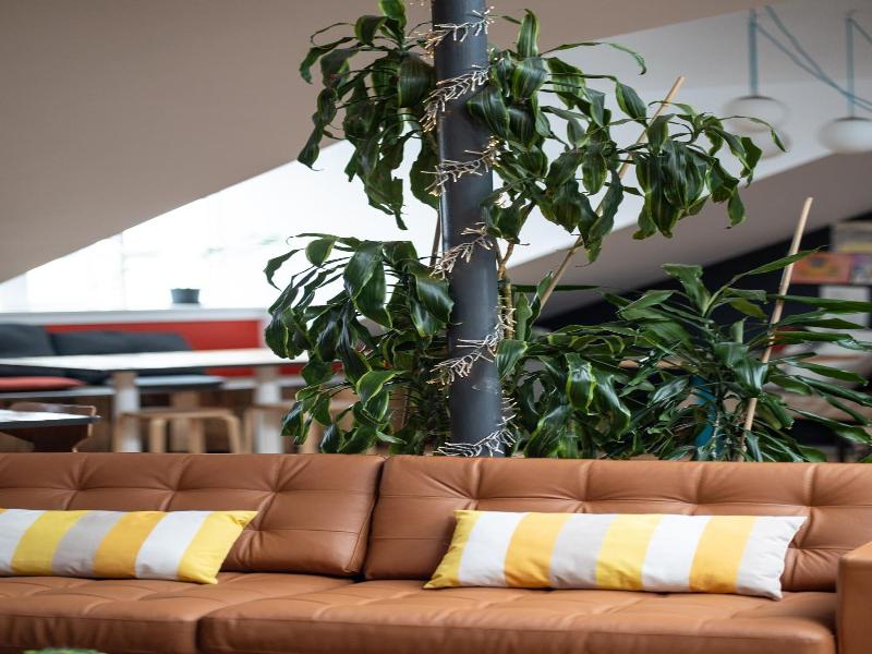 Loft Hostel image