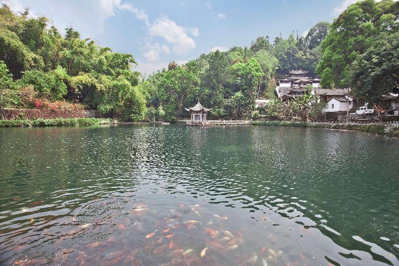 Banyan Tree Tengchong image