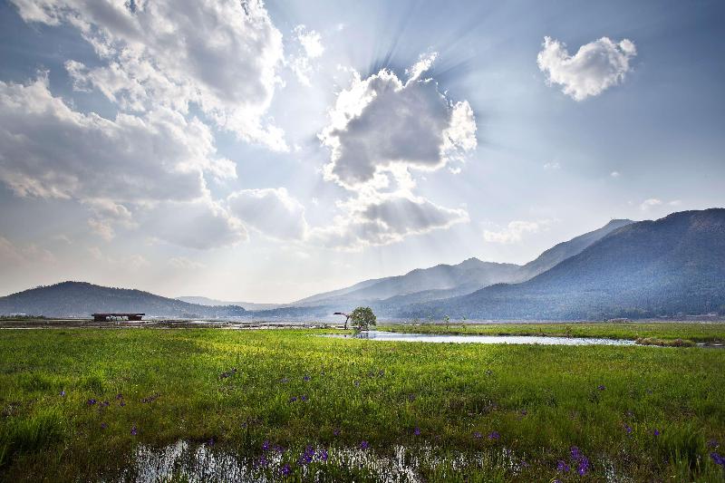 Banyan Tree Tengchong image