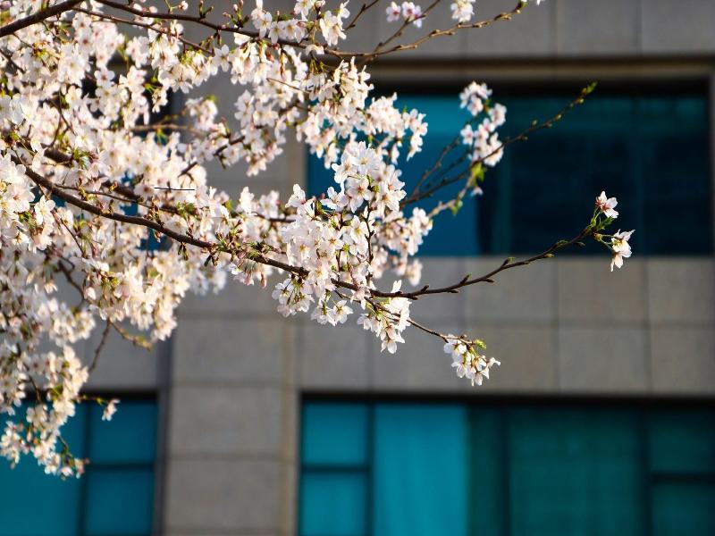 Renaissance Suzhou Hotel image