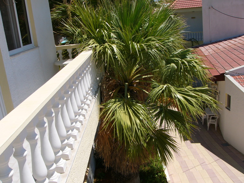 Helga'S Paradise gallery photo 14