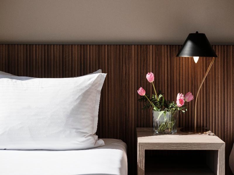 Hotel Terrado Lyon image