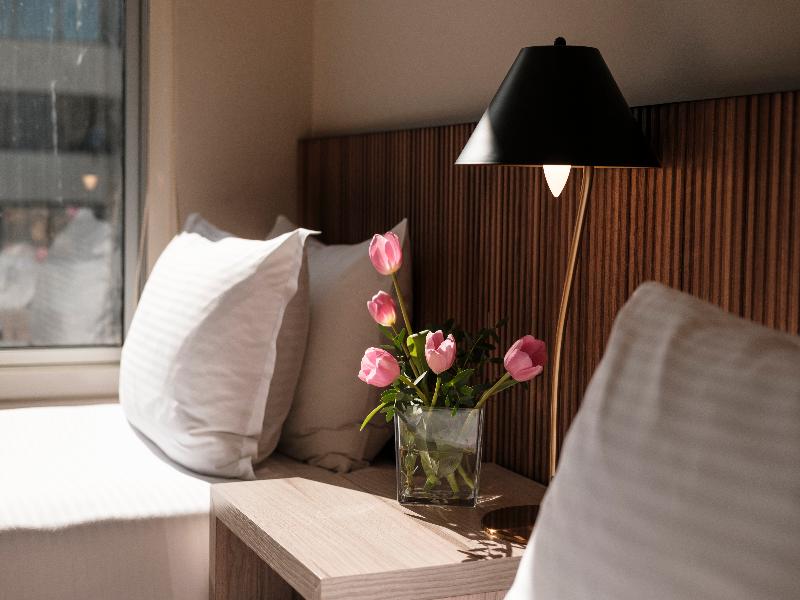 Hotel Terrado Lyon image