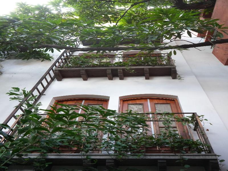 Casa del Arbol Centro image