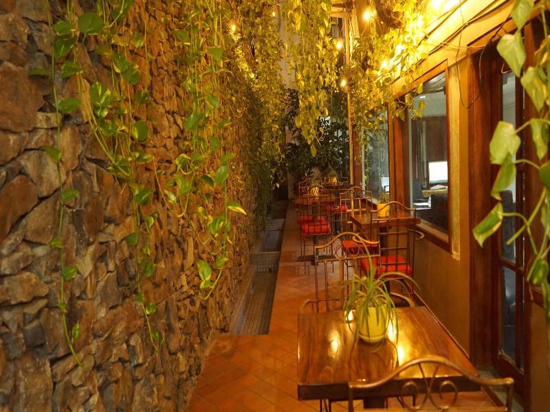 Casa del Arbol Centro image