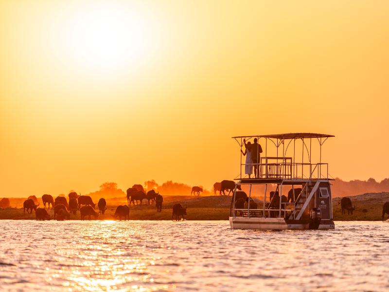 Chobe Water Villas image