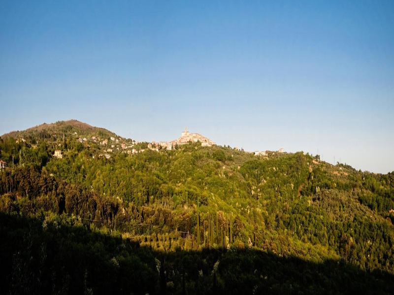 La Trigola image