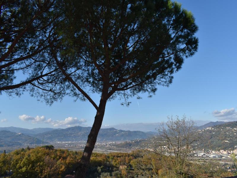 La Trigola image