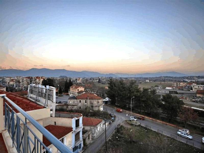 Palatino image