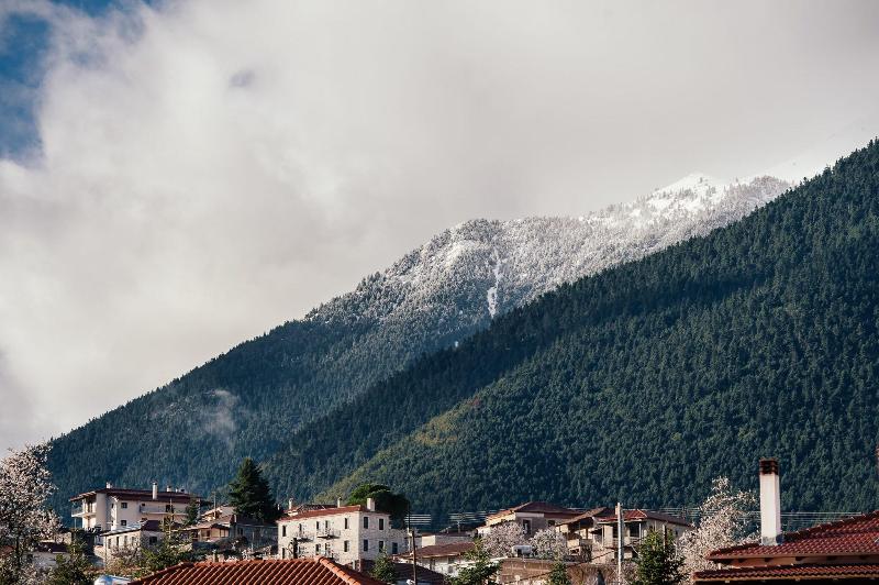 Levidi Suites image