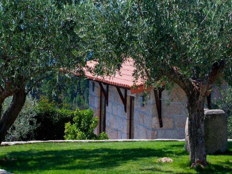 Quinta Do Olival image