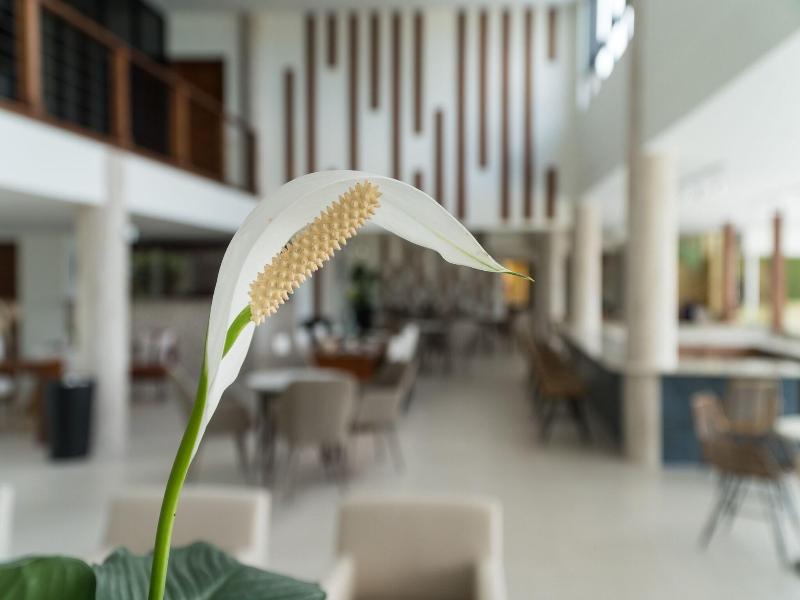 Cara Suites Hotel and Conference Centre