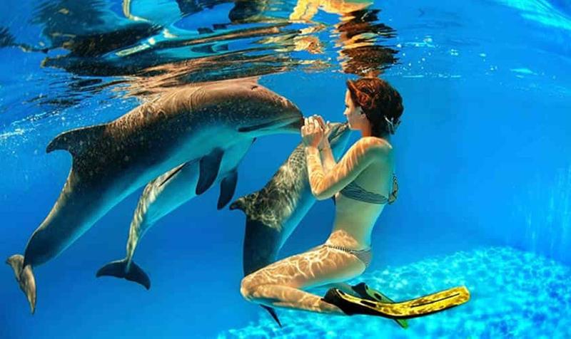Ocean Villas image