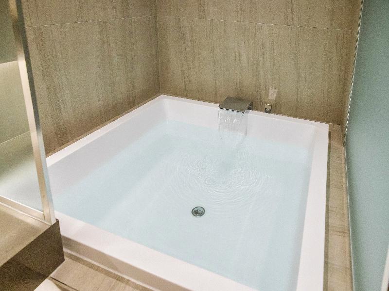 Hotel Foret The Spa image