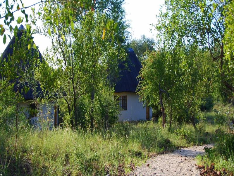 Mbizi Bush Lodge image