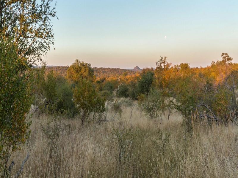 Mbizi Bush Lodge image
