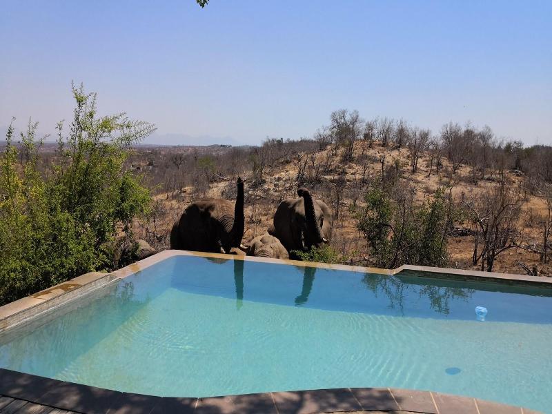 Mbizi Bush Lodge image