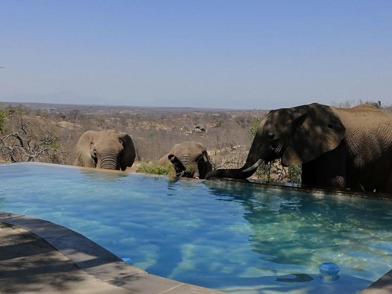 Mbizi Bush Lodge image