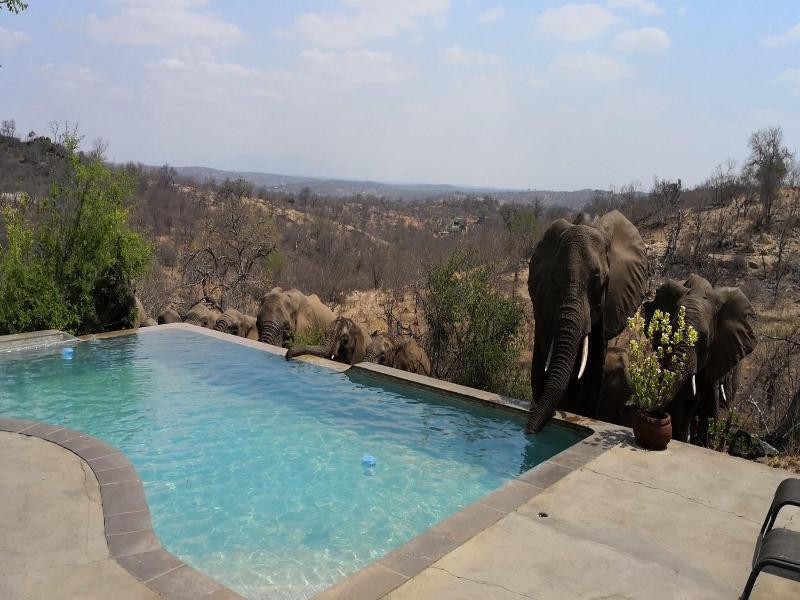 Mbizi Bush Lodge image