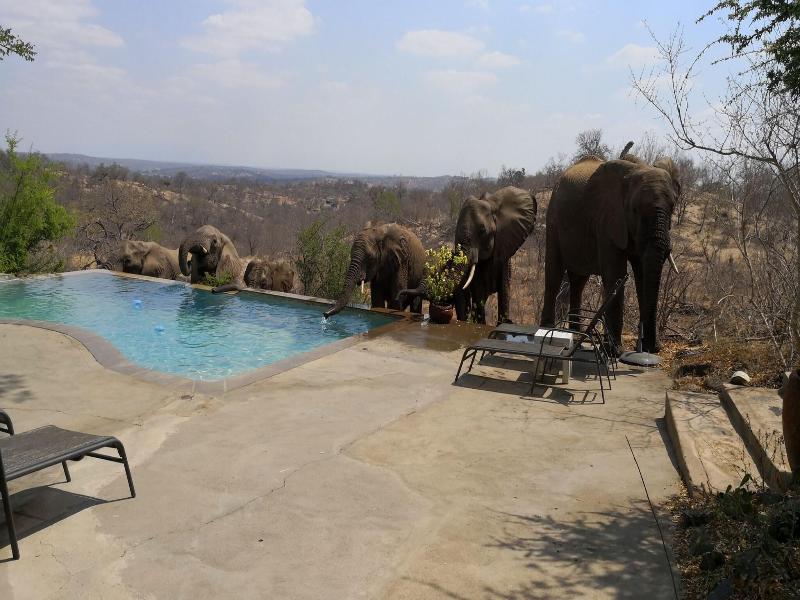 Mbizi Bush Lodge image